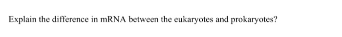 Question: Explain the difference in mRNA between the eukaryotes and prokaryotes?