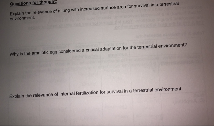 Question: Explain the relevance of a lung with increased surface area for survival in a terrestrial environ...