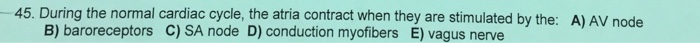 Question: During the normal cardiac cycle, the atria contract when they are stimulated by the: A) AV node B...