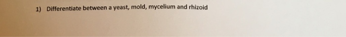 Question: 1) Differentiate between a yeast, mold, mycelium and rhizoid