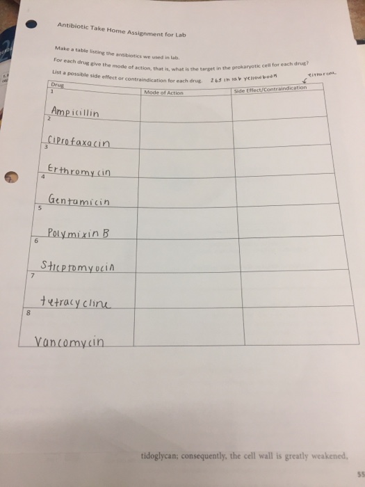 Question: Make a table listing the antibiotics we used in lab  For each drug give the mode of action, what ...