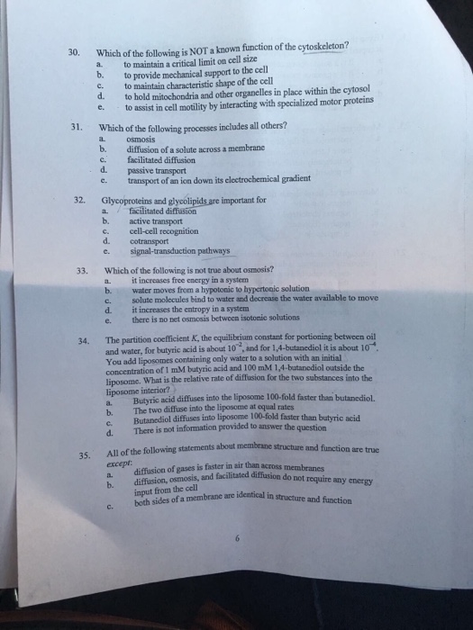Cytoskeleton analogy picture