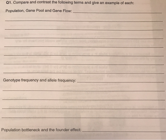 Dffd essay 04 picture