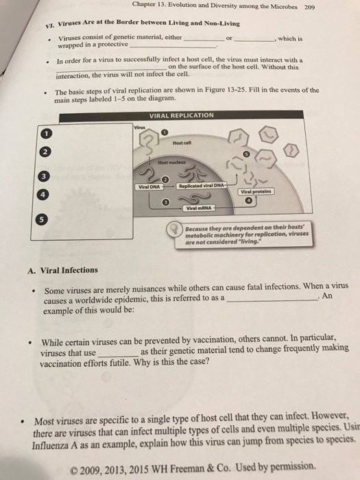 How did humans evolve picture