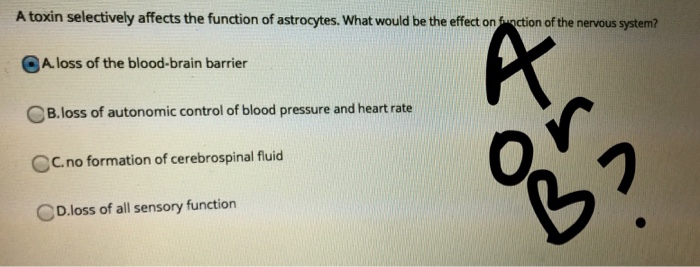 Question: A toxin selectively affects the function of astrocytes. What would be the effect on function of t...