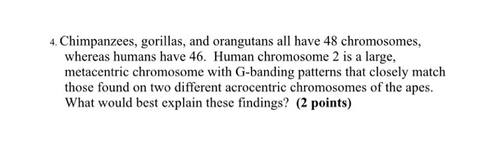 Question: 4. Chimpanzees, gorillas, and orangutans all have 48 chromosomes, whereas humans have 46. Human c...