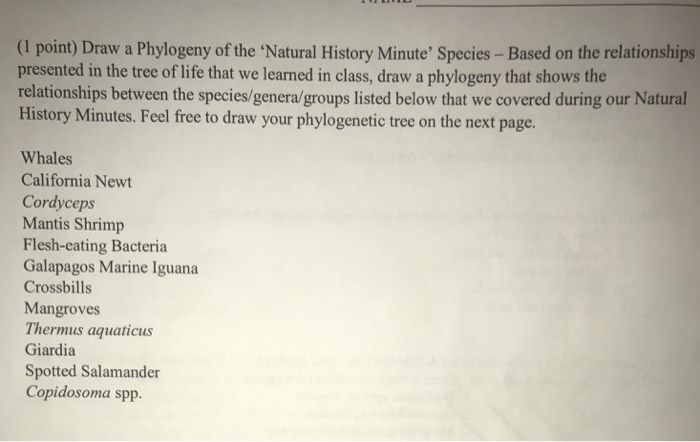 Question: (1 point) Draw a Phylogeny of the ‘Natural History Minute, Species-Based on the relationships p...