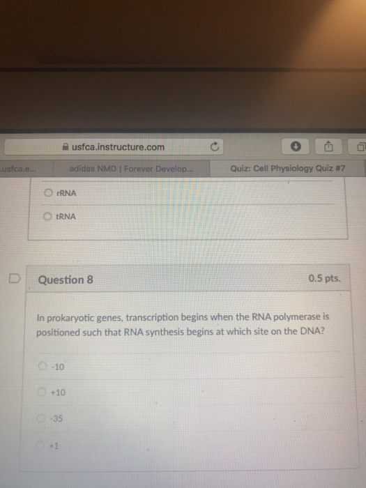 Question: 슬 usfca.instructure.com adidas NMD | Forever Develop... Quiz: Cell Physiology Quiz #7 O TRNA O ...