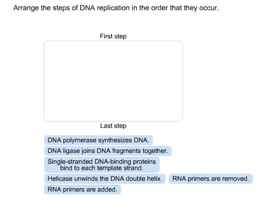 What information should the introduction of a literary analysis essay include? picture