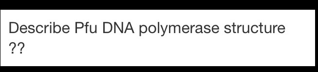 Question: Describe Pfu DNA polymerase structure??