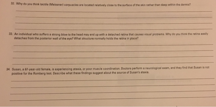 Question: Why do you think the tectile (Meissner) corpuscies are located relatively close to the surface of...