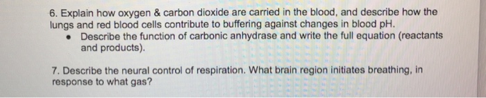 Description of blood english image