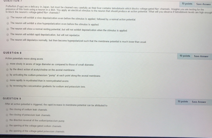 Question: 10 points Save Answer are a delicacy in Japan, but must be cleaned very carefully as their liver ...