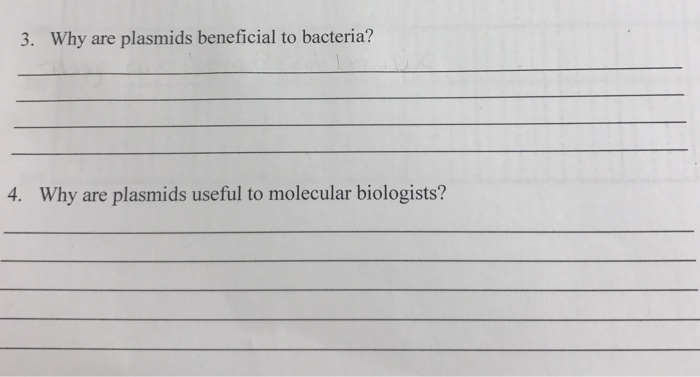 Question: 3. Why are plasmids beneficial to bacteria? 4. Why are plasmids useful to molecular biologists?