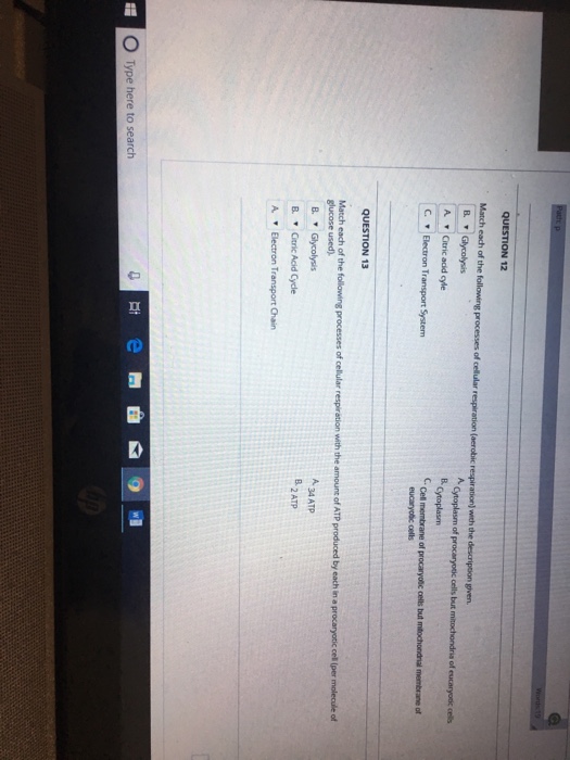 Citric acid supplement picture