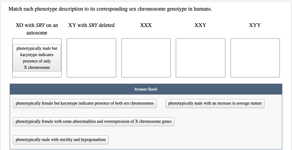 Solved Match Each Phenotype Description To Its Correspond Free