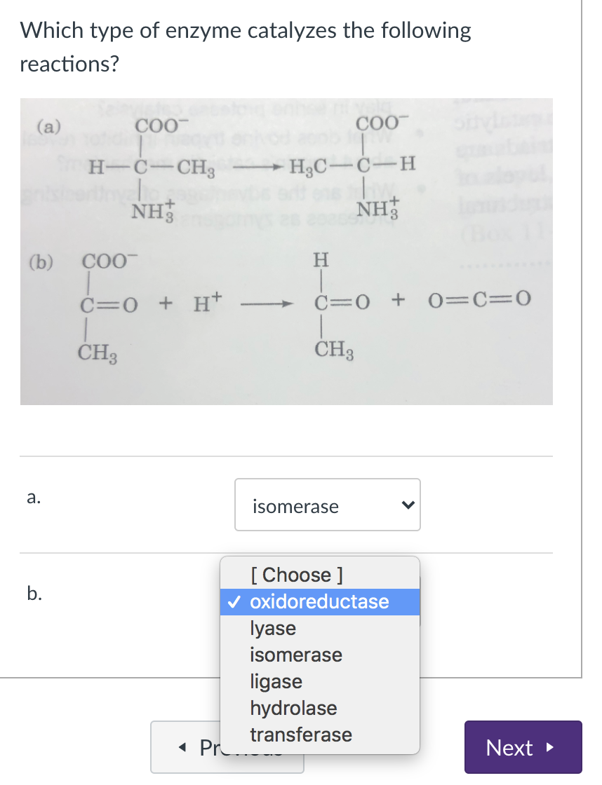 Solved Which Type Of Enzyme Catalyzes The Following Chegg