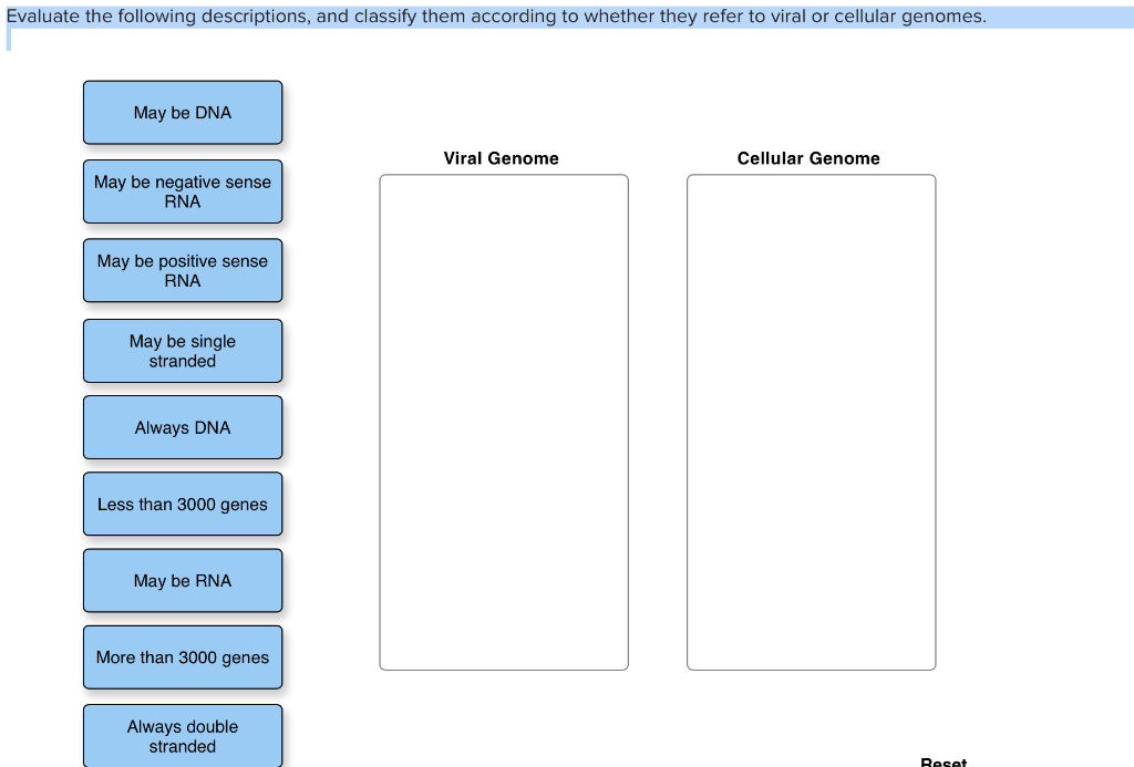 Solved Evaluate The Following Descriptions And Classify Chegg