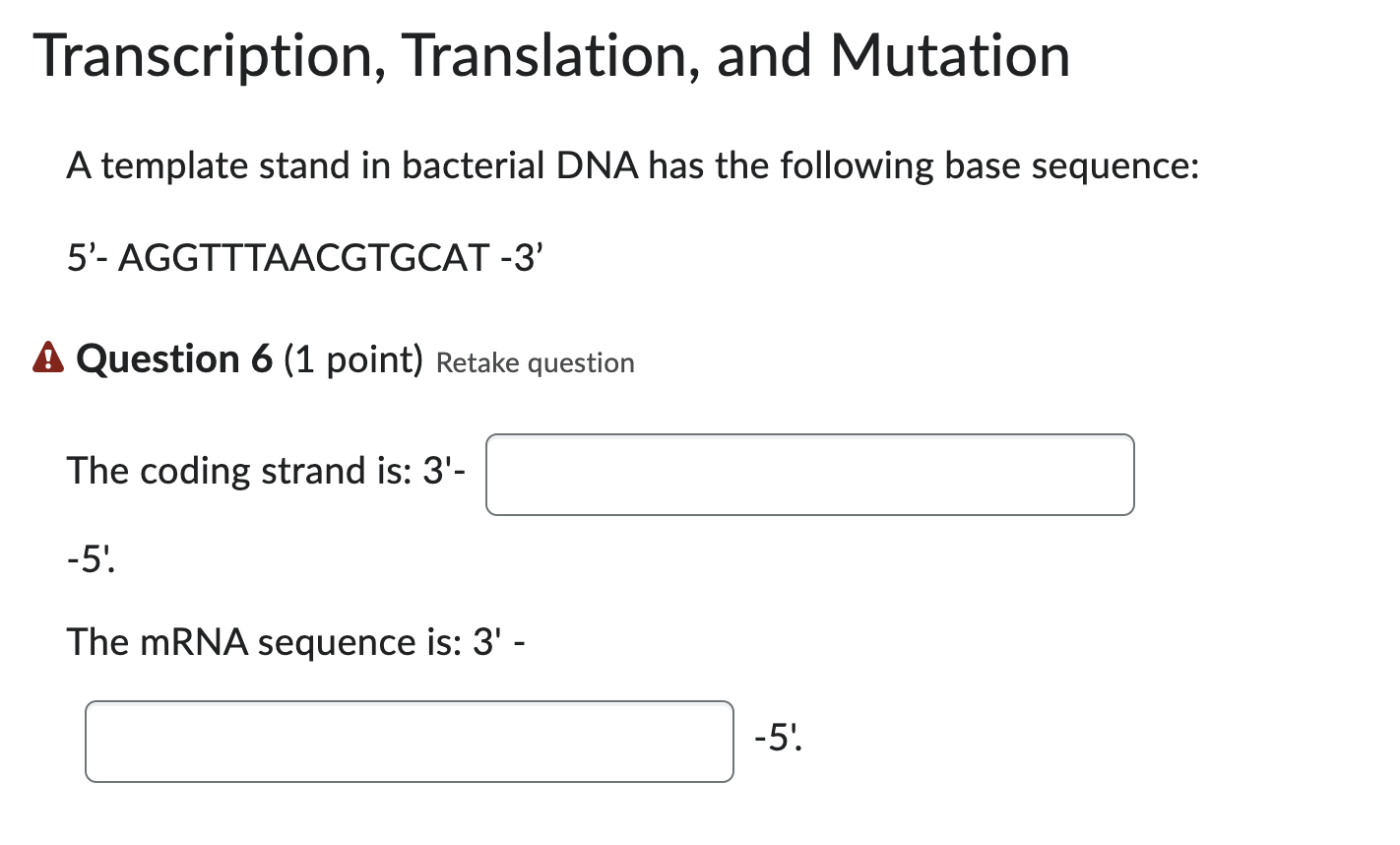 Solved Transcription Translation And Mutationa Template Chegg