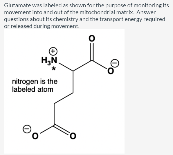 Solved Glutamate Was Labeled As Shown For The Purpose Of Chegg