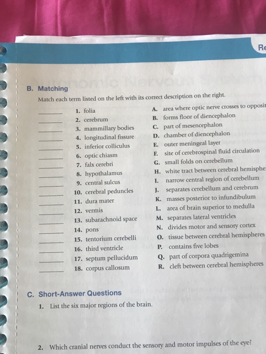 Solved Re B Matching Match Each Term Listed On The Left Chegg