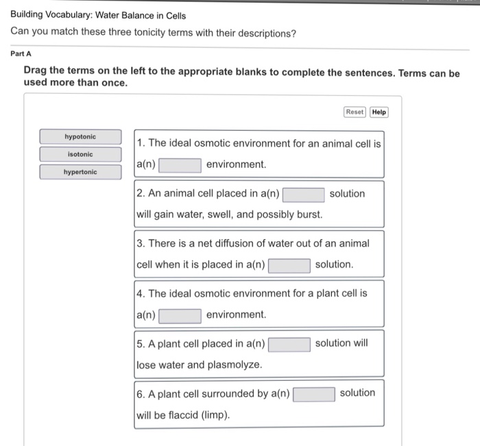 Solved Building Vocabulary Water Balance In Cells Can Yo...