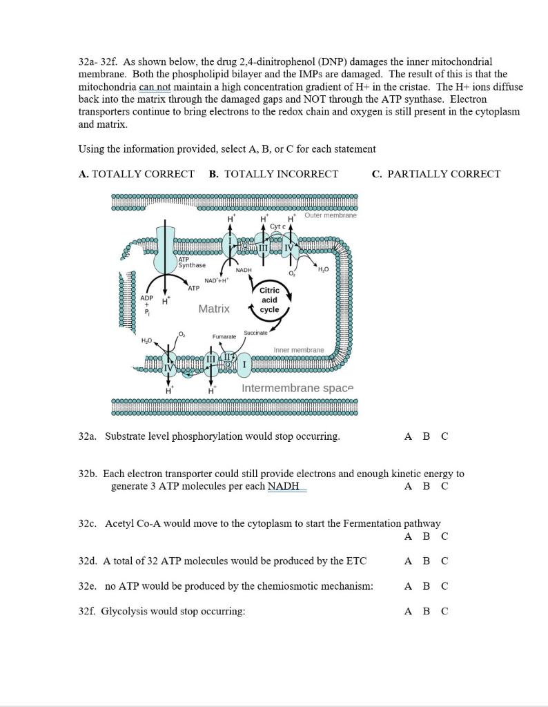 Solved A F As Shown Below The Drug Dinitrophenol Chegg