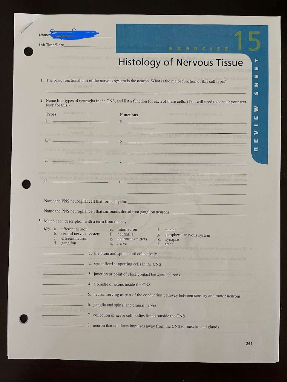 Solved Review Sheet Neuron That Conducts Chegg