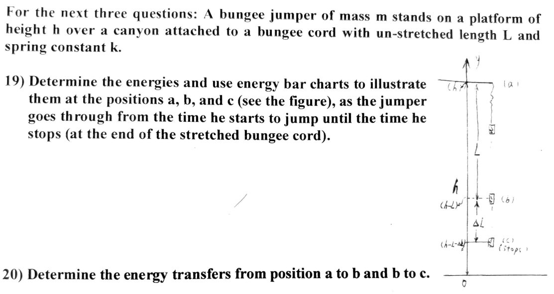 Solved For The Next Three Questions A Bungee Jumper Of Mass Chegg