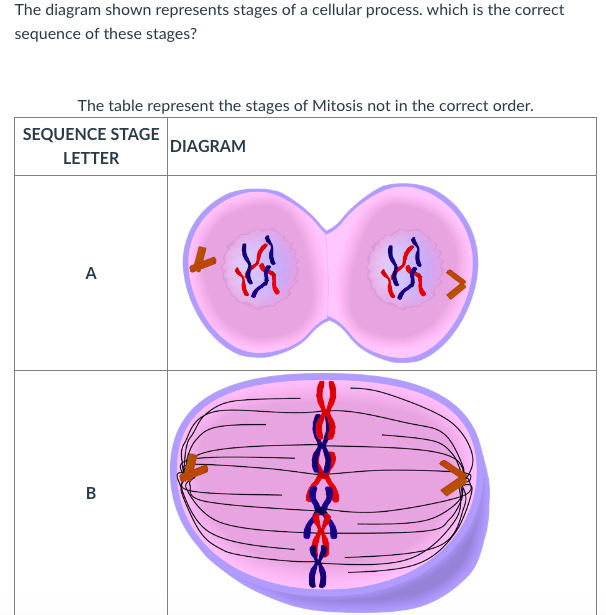 Solved Question Pts Which Statement Best Explains The Chegg