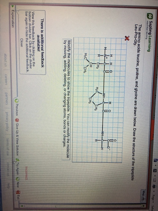 Solved Sapling Learning The Amino Acids Leucine, Proline, Chegg com Solved Sapling Learning The Amino Acids Leucine, Proline, Chegg com