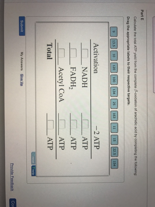 Solved Calculate The Total ATP Yield From The Complete Chegg