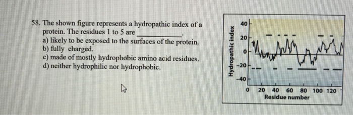 Solved 58 The Shown Figure Represents A Hydropathic Index Chegg