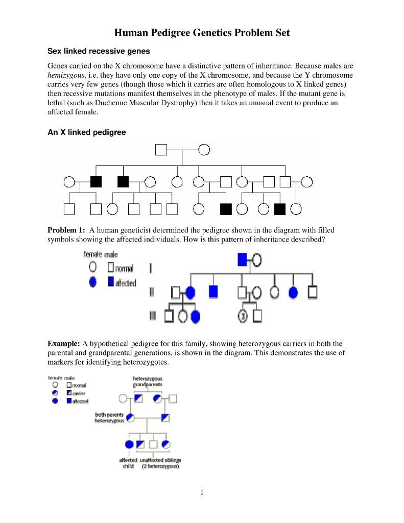 Solved Human Pedigree Genetics Problem Set Sex Linked Chegg