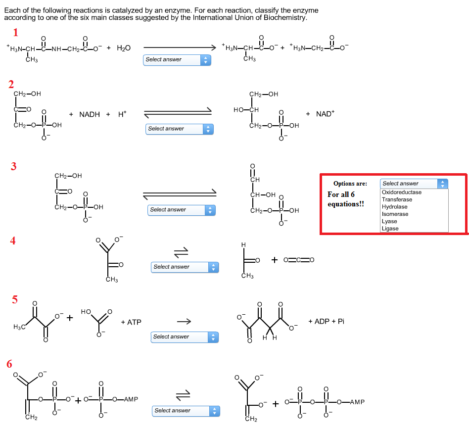Each Of The Following Reactions Is Catalyzed By