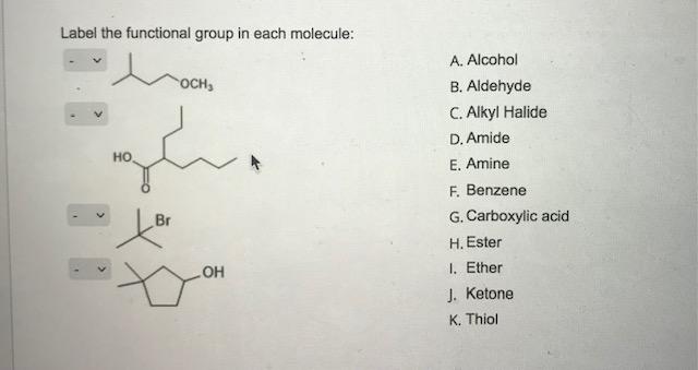 Solved Label The Functional Group In Each Molecule HO Br Chegg