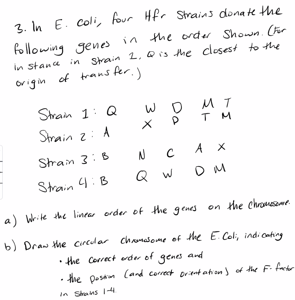 Solved In E Coli Four Hfr Strains Donate The Following Chegg