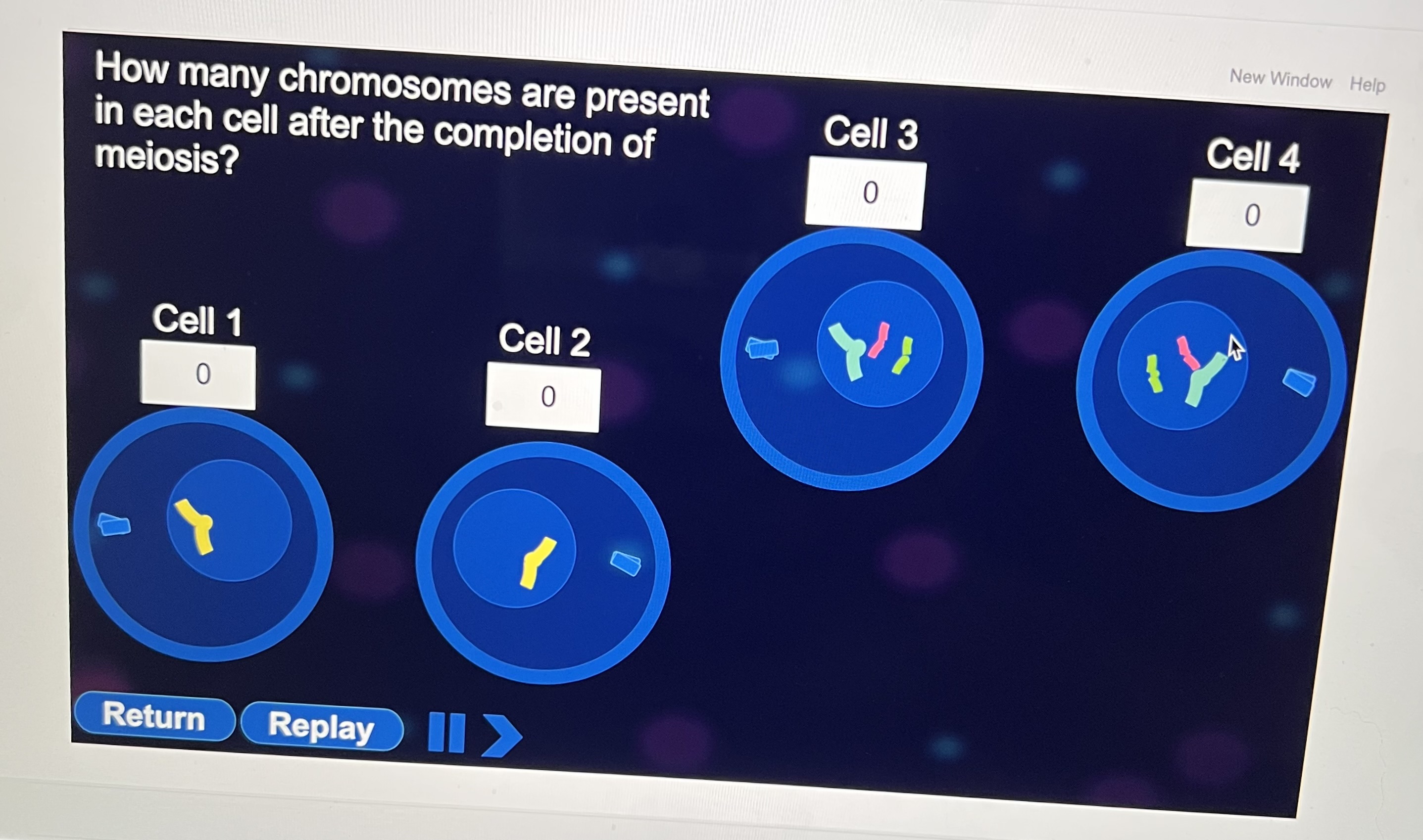 Solved Part How Many Chromosomes Are Present In Each Cell Chegg