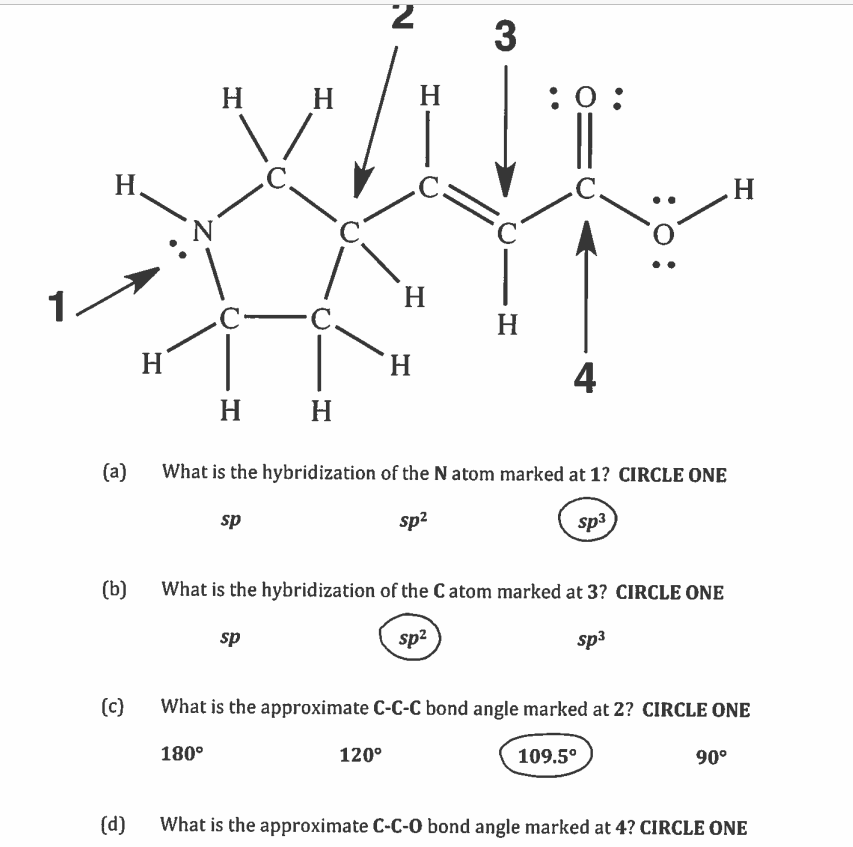 Solved A What Is The Hybridization Of The N Atom Marked At Chegg