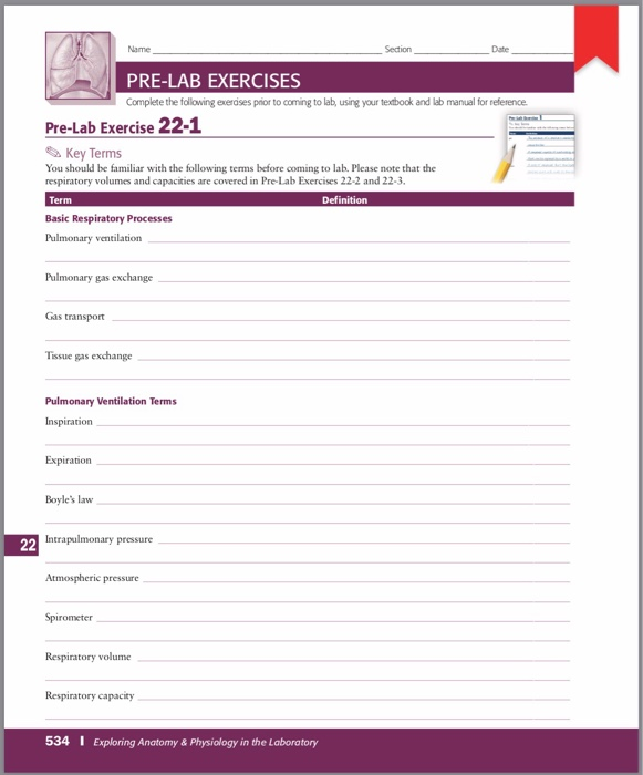 Solved Name Section Date Pre Lab Exercises Complete The Chegg