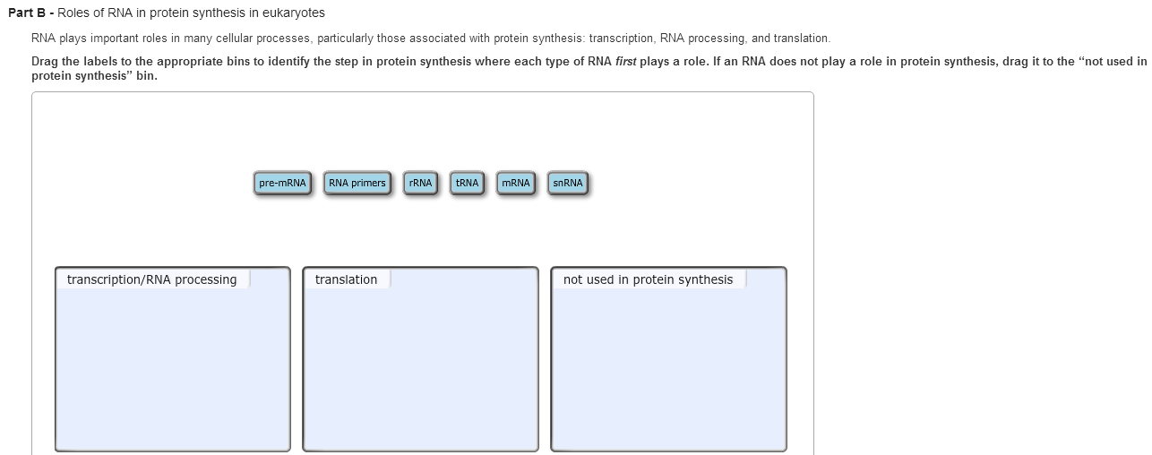 in sysnthesis in sysnthesis