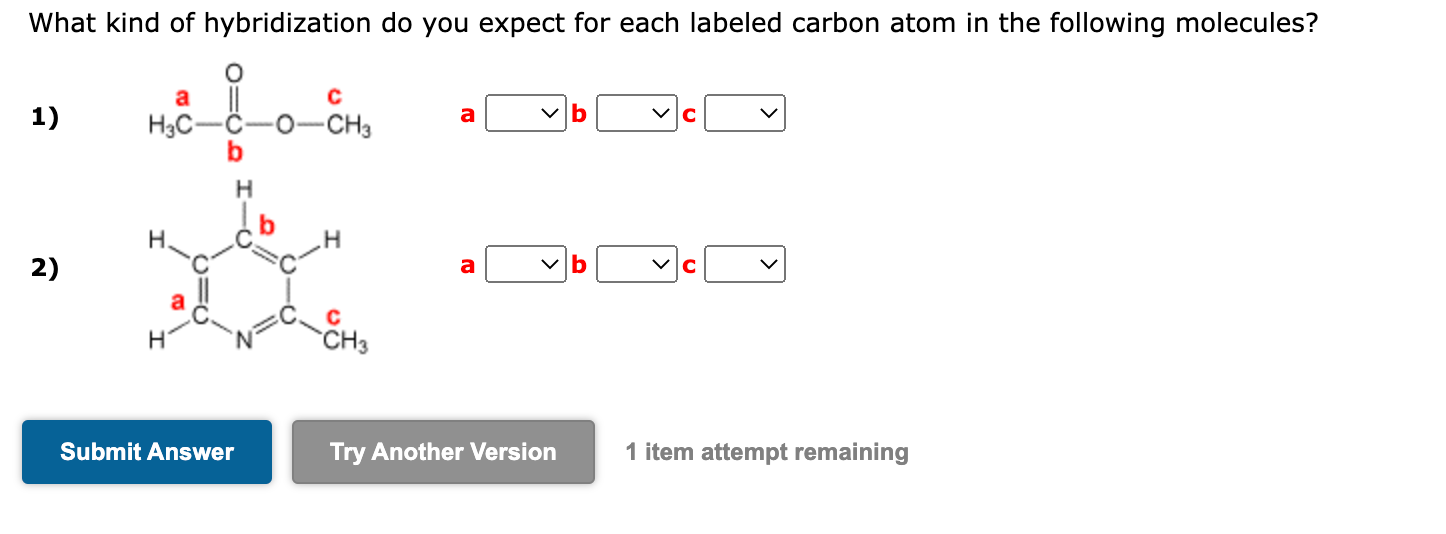 Solved What Kind Of Hybridization Do You Expect For Each Chegg