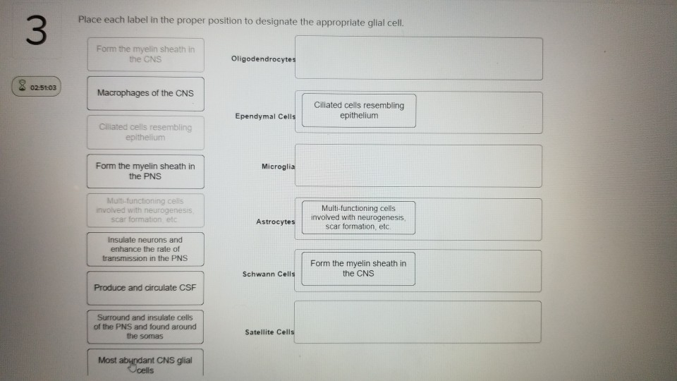 Solved Place Each Label In The Proper Position To Designate Chegg