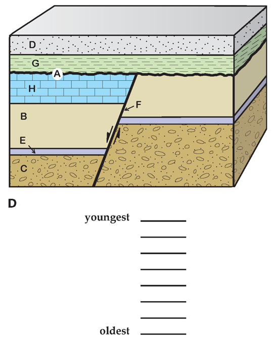 Solved 1 What Type Of Unconformity Is Represented By A In Chegg