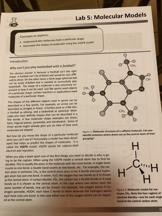 Solved Lab 5 Molecular Models Concepts To Explore Chegg