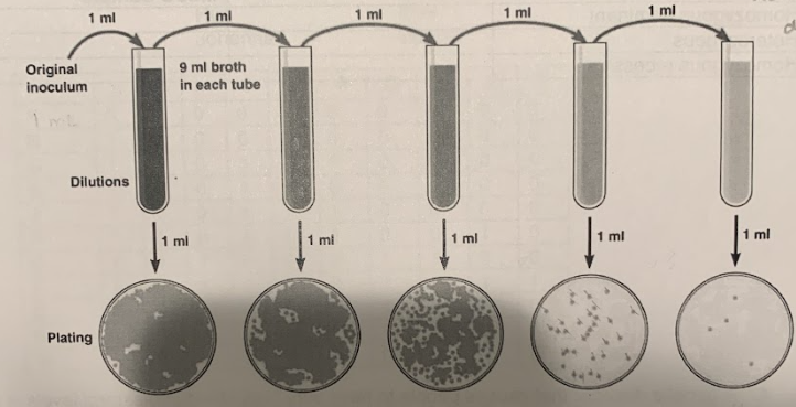 Solved Below Is A Serial Dilution Diagram Each Dot Is A Chegg