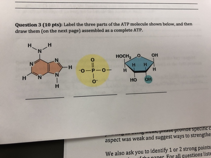 Solved Question 3 10 Pts Label The Three Parts Of The ATP Chegg