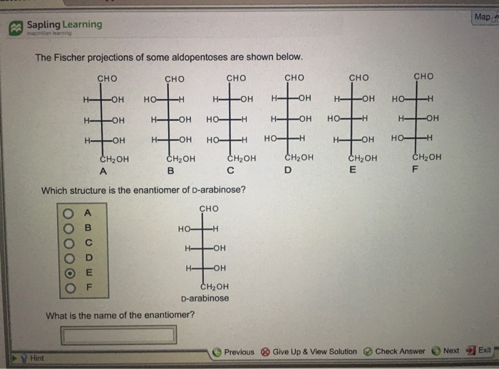 Solved Sapling Learning Map. The Fischer Projections Of S...