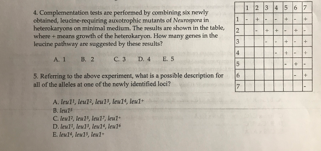 Solved Complementation Tests Are Performed By Chegg