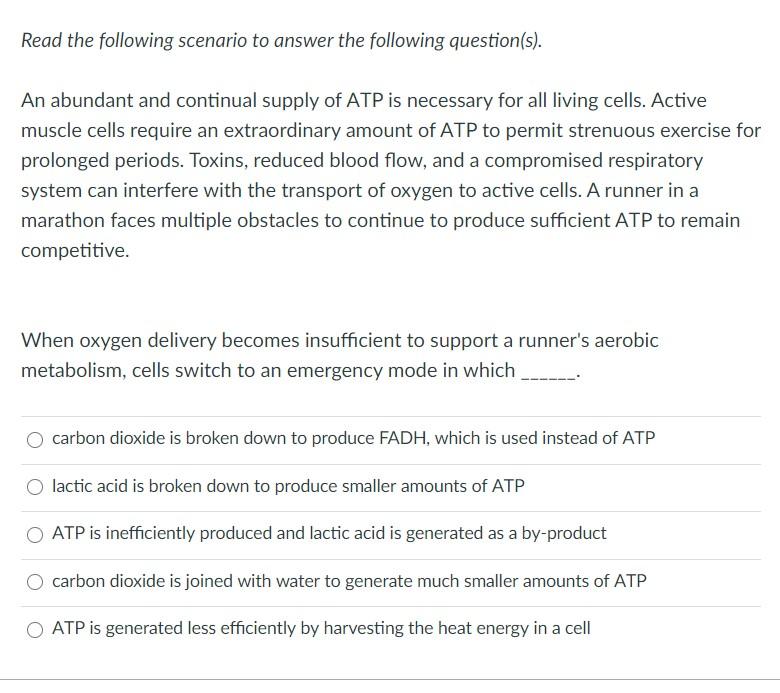 Solved Read The Following Scenario To Answer The Following Chegg